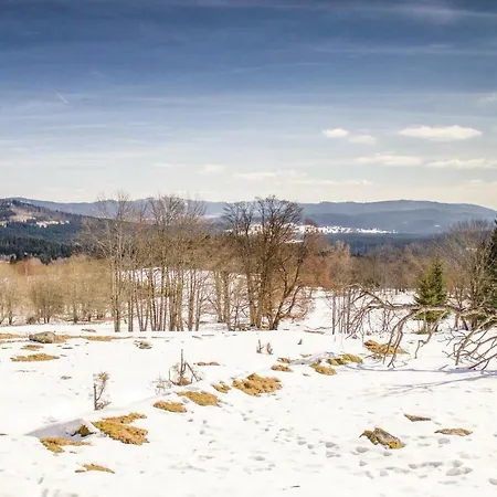 Four Bedroom Holiday In Volary