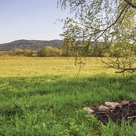 Four Bedroom Holiday In Volary